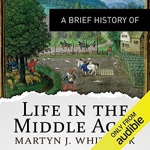 A Brief History of Life in the Middle Ages by Martyn Whittock