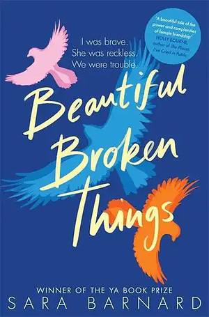 Beautiful Broken Things by Sara Barnard