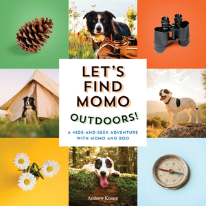Let's Find Momo Outdoors!: A Hide and Seek Adventure with Momo and Boo by Andrew Knapp