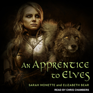 An Apprentice to Elves by Elizabeth Bear, Sarah Monette