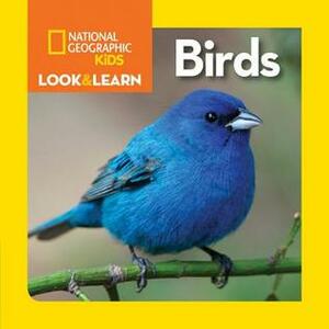 Look and Learn: Birds by Ruth A. Musgrave