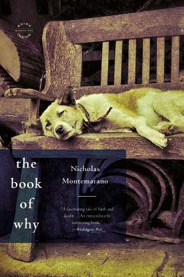 The Book of Why by Nicholas Montemarano