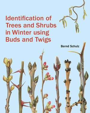 Identification of Trees and Shrubs in Winter Using Buds and Twigs by Bernd Schulz