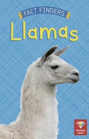 Llamas  by Katie Woolley
