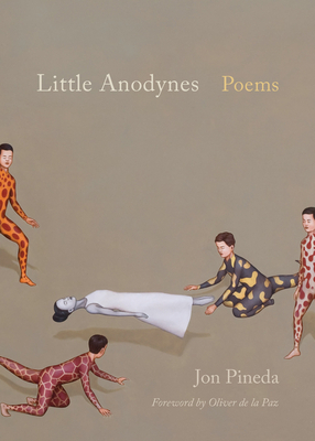 Little Anodynes: Poems by Jon Pineda