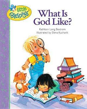 What Is God Like? by Elena Kucharik, Kathleen Long Bostrom