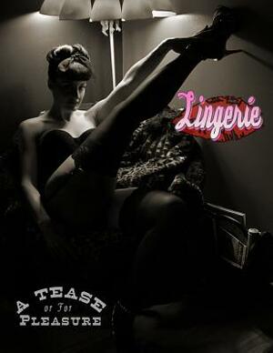 Lingerie: A Tease Or For PLEASURE by Michael Enoches