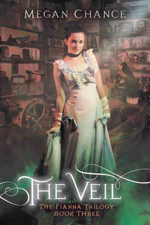 The Veil by Megan Chance