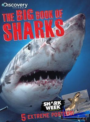The Big Book of Sharks by Discovery Channel, Jack Silbert