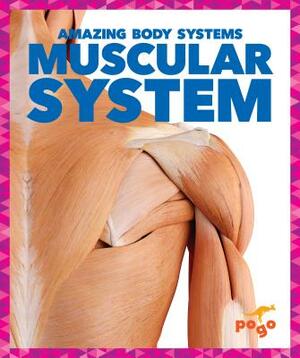 Muscular System by Karen Kenney