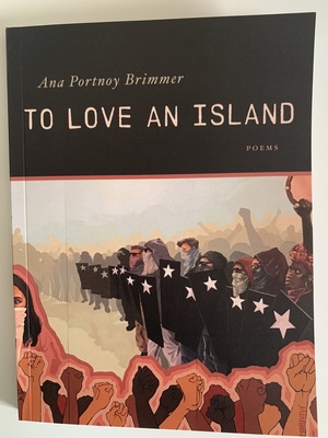 To Love an Island by Ana Portnoy Brimmer