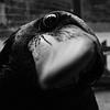 cannot_unsee's profile picture