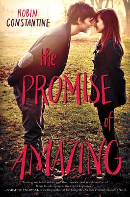 The Promise of Amazing by Robin Constantine