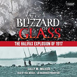 Blizzard of Glass by Sally M. Walker