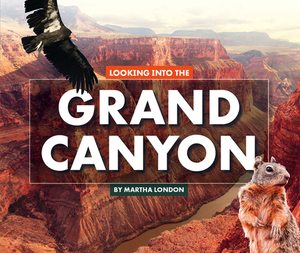 Looking Into the Grand Canyon by Martha London