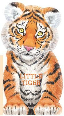 Little Tiger by Giovanni Caviezel