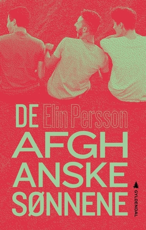 De afghanske sønnene by Elin Persson