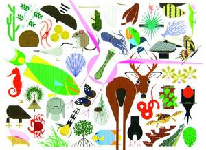 Charley Harper's Animal Kingdom by Todd Oldham