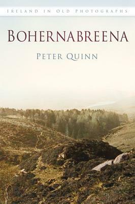 Bohernabreena by Peter Quinn