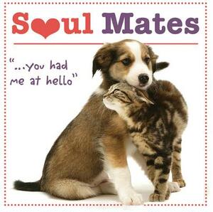 Soul Mates: You Had Me at Hello by Robin Haywood
