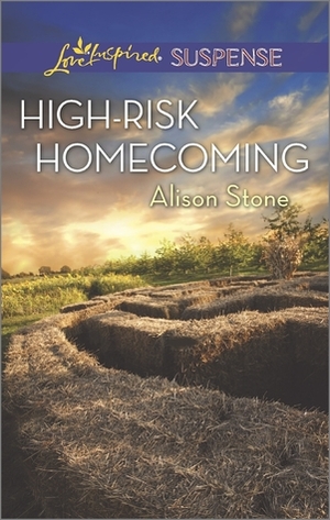 High-Risk Homecoming by Alison Stone