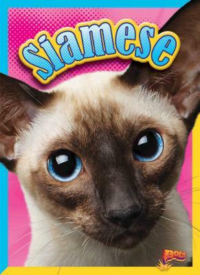 Siamese by Nicki Clausen-Grace