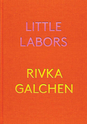 Little Labors by Rivka Galchen