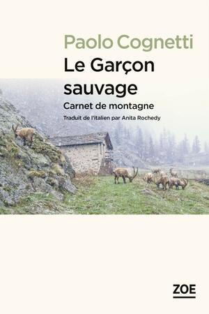 Le Garçon sauvage by Paolo Cognetti