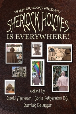 Sherlock Holmes is Everywhere! by Kristin Franseen