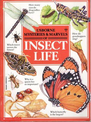 Mysteries & Marvels Of Insect Life by Anne Sharpies, Teresa Foster, John Shackell, Rick Morris, Jennifer Owen