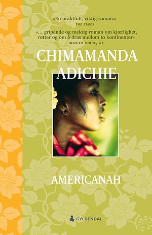 Americanah by Chimamanda Ngozi Adichie