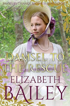 Damsel To The Rescue by Elizabeth Bailey