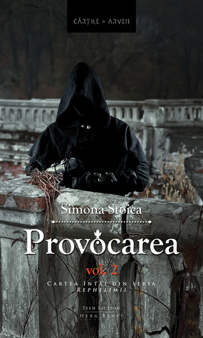 Provocarea II by Simona Stoica