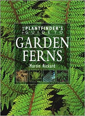 Garden Ferns by Martin Rickard