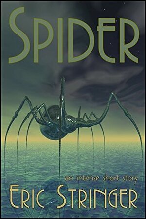 Spider by Eric Stringer