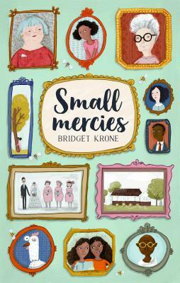 Small Mercies by Bridget Krone