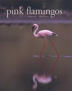 Pink Flamingos: Interviews with Jean-Louis Missika and Dominique Wolton = Le Spectateur Engage by N. J. Collar, Nigel J. Collar, Carlo Mari