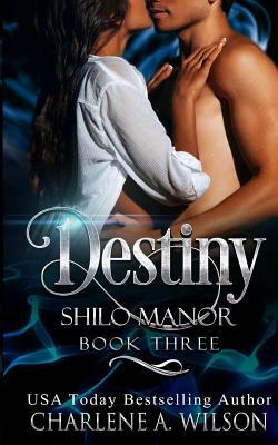 Destiny: Multi-Dimensional Soul Mates by Charlene a. Wilson