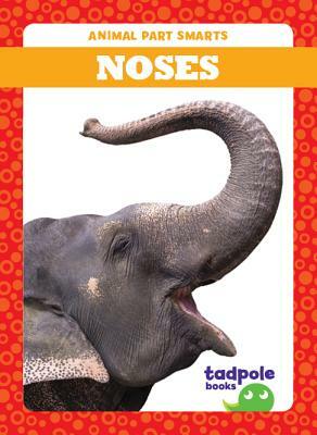 Noses by Jenna Lee Gleisner