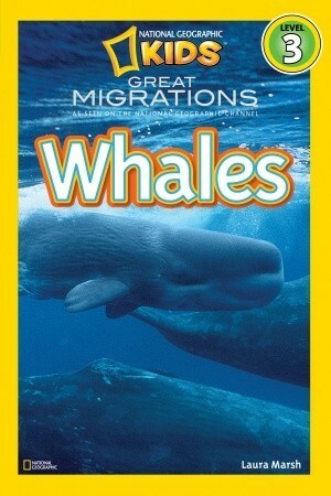 Great Migrations: Whales (National Geographic Readers) by National Geographic Kids, Laura Marsh