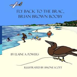 Fly Back to the Brac, Brian Brown Booby by Elaine a. Powers