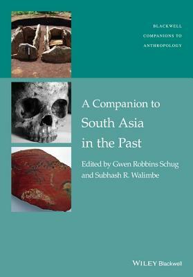 A Companion to South Asia in the Past by Subhash R. Walimbe, Gwen Robbins Schug