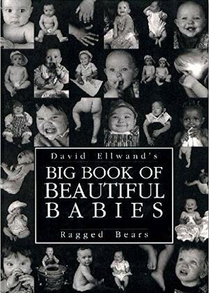 The Big Book of Beautiful Babies by David Ellwand