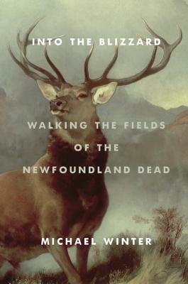 Into the Blizzard: Walking the Fields of the Newfoundland Dead by Michael Winter