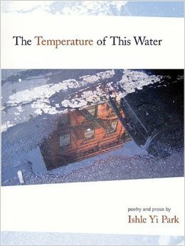 The Temperature of This Water by Ishle Park
