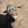 themollylorian's profile picture