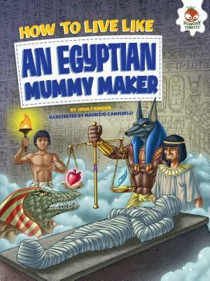 How to Live Like an Egyptian Mummy Maker by John Farndon