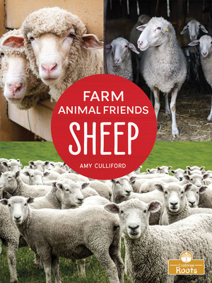 Sheep by Amy Culliford