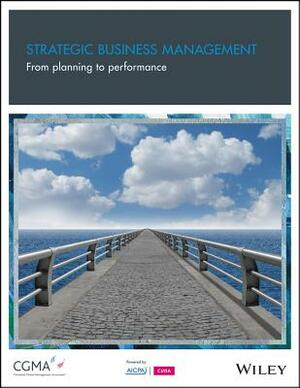 Strategic Business Management: From Planning to Performance by Gary Cokins