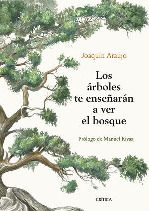 Los árboles te enseñarán a ver el bosque by Joaquín Araújo